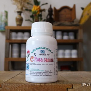 C Rosa canina